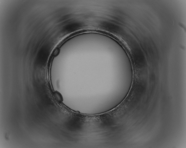 X0000091850887200709191054