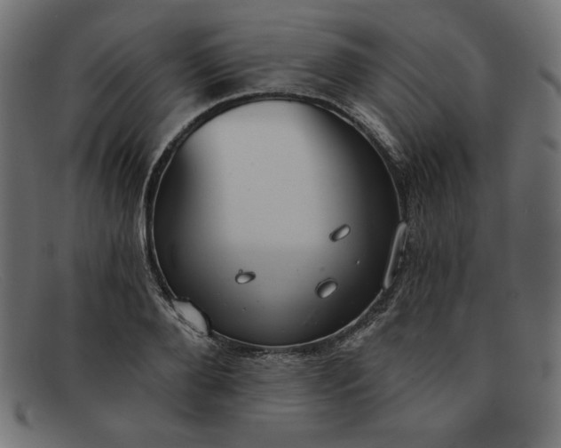X0000091850888200709191054