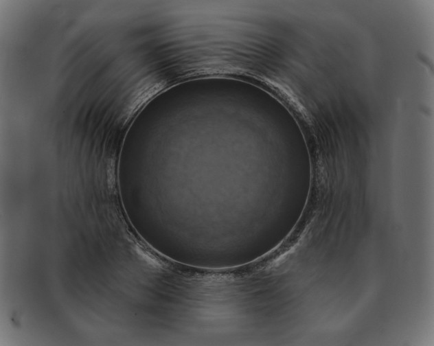 X0000091850889200709191054