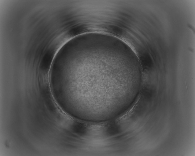 X0000091850891200709191054