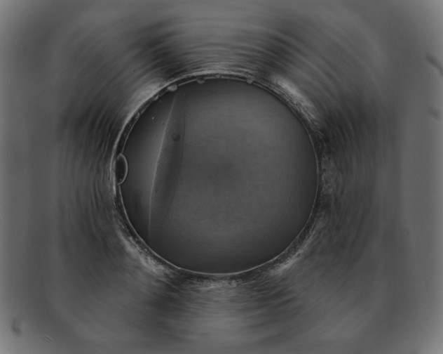 X0000091850892200709191054