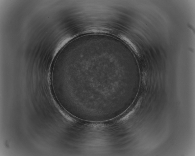 X0000091850893200709191054