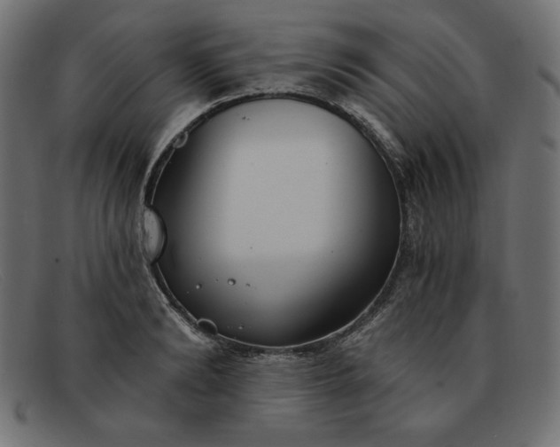 X0000091850894200709191054
