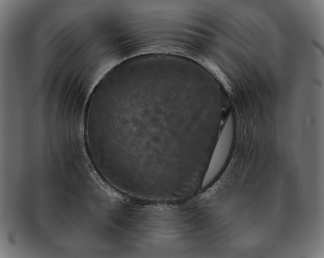 X0000091850896200709191054