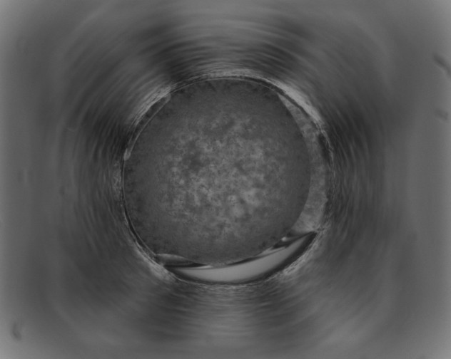 X0000091850897200709191054