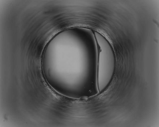 X0000091850898200709191054
