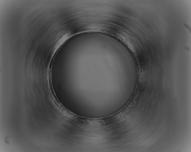 X0000091850899200709191054