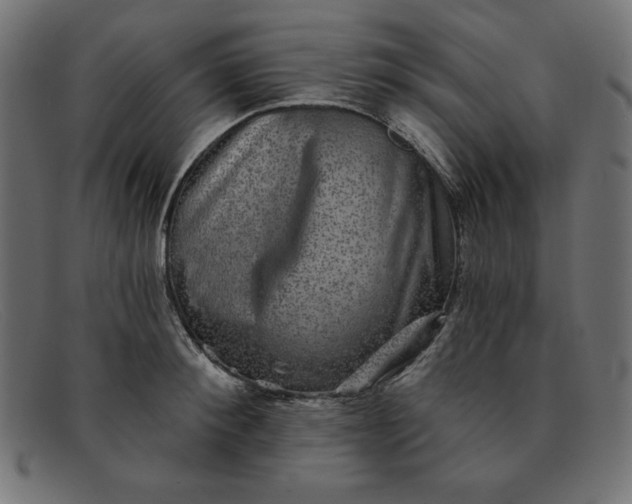 X0000091850900200709191054
