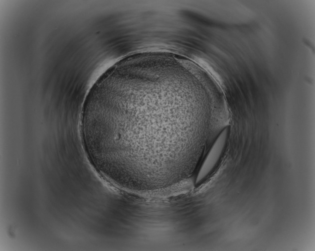 X0000091850901200709191054