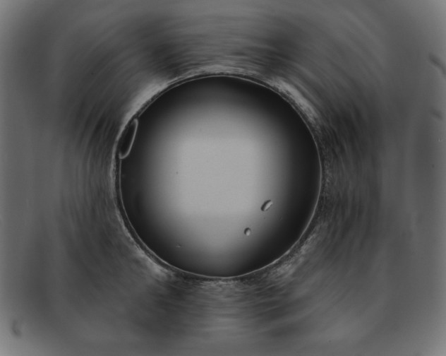 X0000091850902200709191054