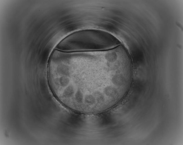 X0000091850903200709191054