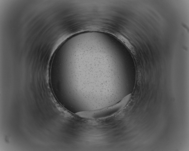 X0000091850904200709191054