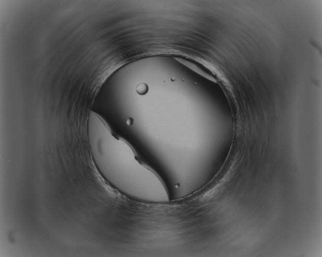 X0000091850905200709191054