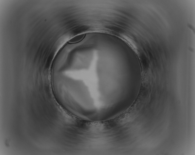 X0000091850907200709191054