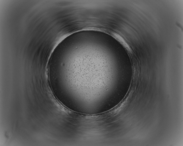 X0000091850908200709191054