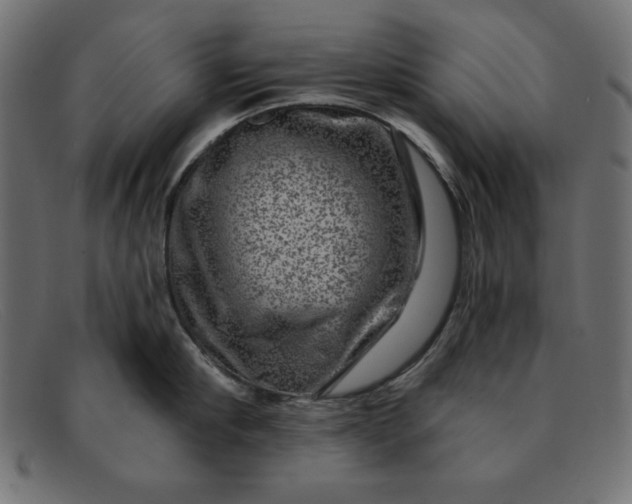 X0000091850910200709191054