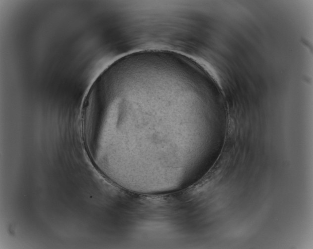 X0000091850911200709191054