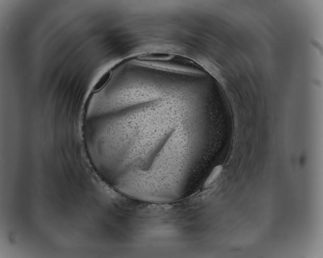 X0000091850912200709191054
