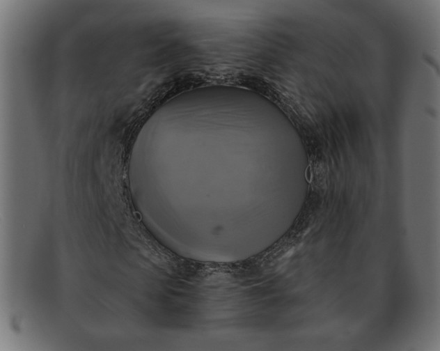X0000091850913200709191053