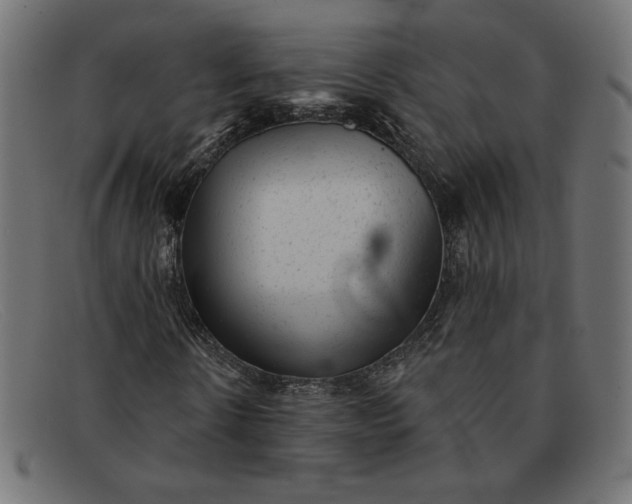 X0000091850914200709191053