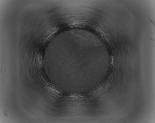 X0000091850915200709191053