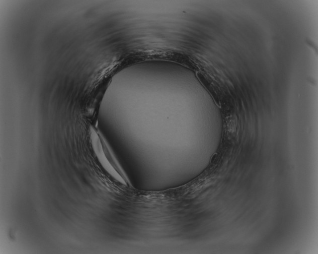 X0000091850916200709191053