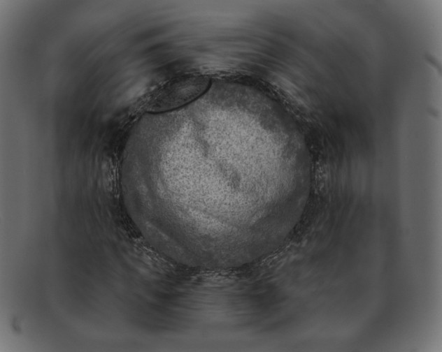 X0000091850917200709191053