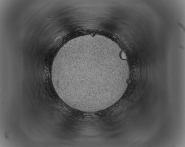 X0000091850918200709191053