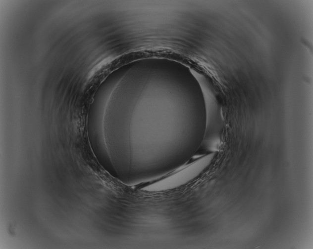 X0000091850920200709191053