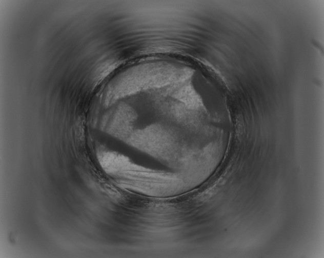 X0000091850921200709191053