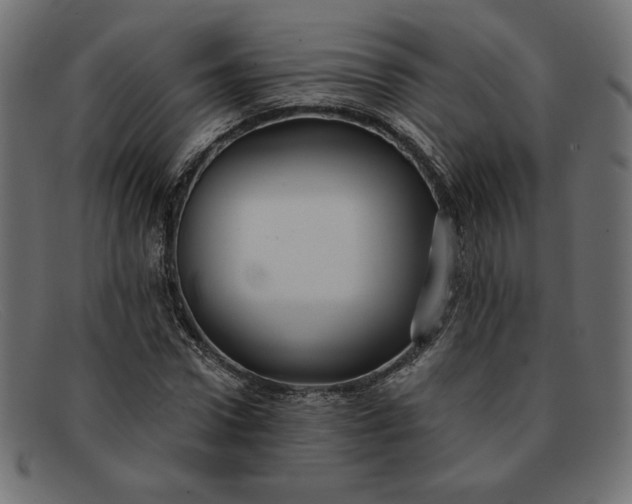 X0000091850922200709191053