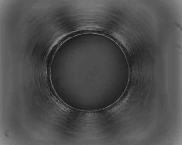 X0000091850923200709191053