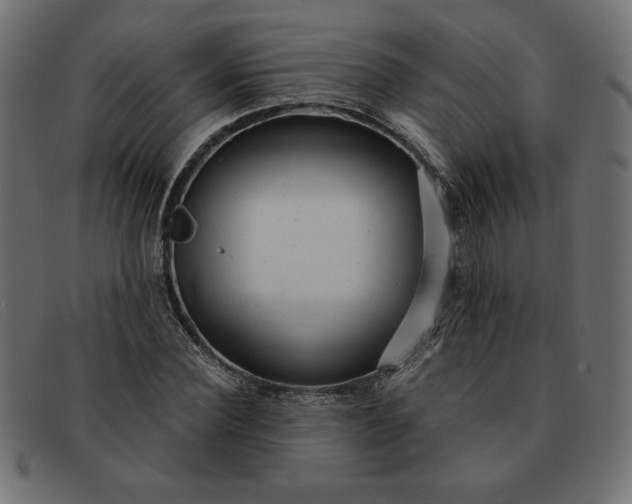 X0000091850924200709191053