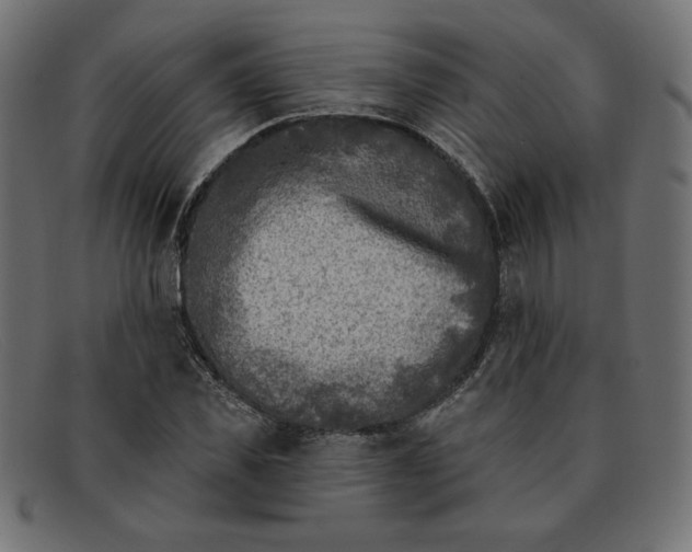 X0000091850925200709191053