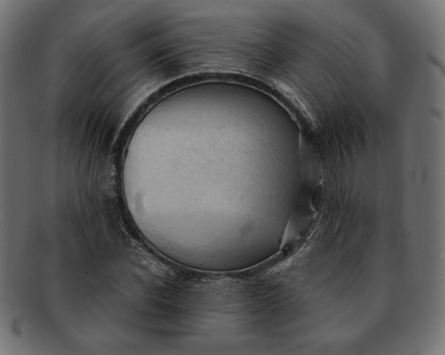 X0000091850926200709191053