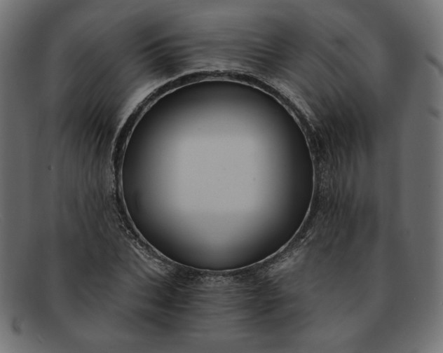X0000091850927200709191053