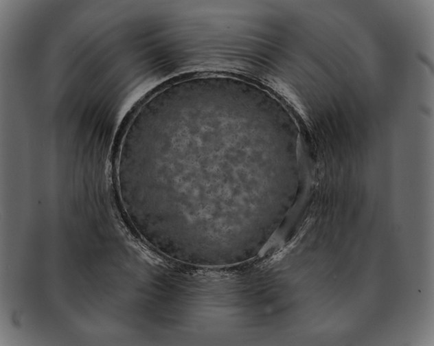 X0000091850928200709191053