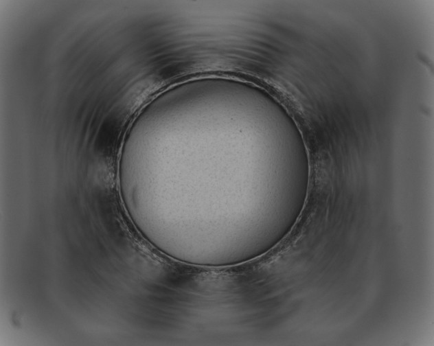 X0000091850929200709191053