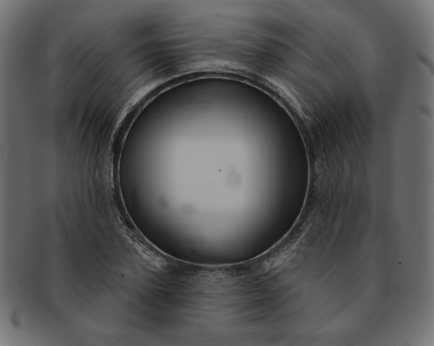 X0000091850931200709191053
