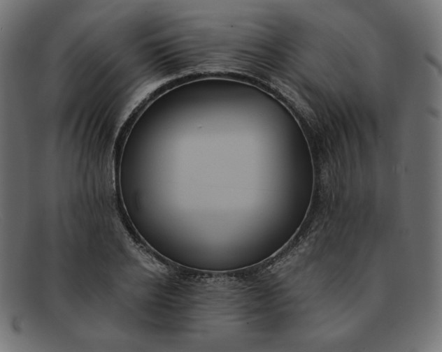 X0000091850934200709191053
