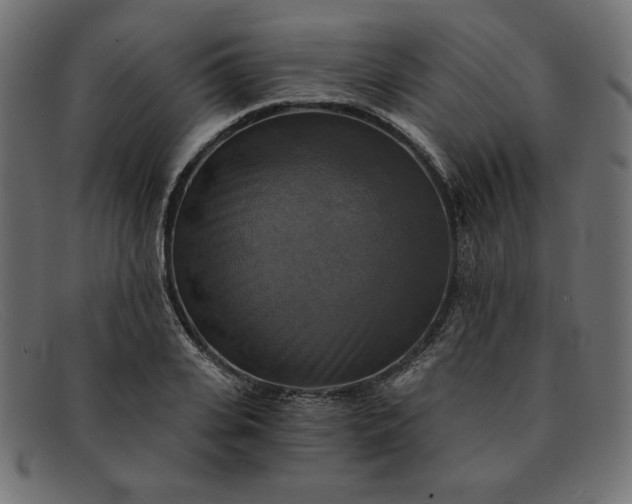 X0000091850935200709191053