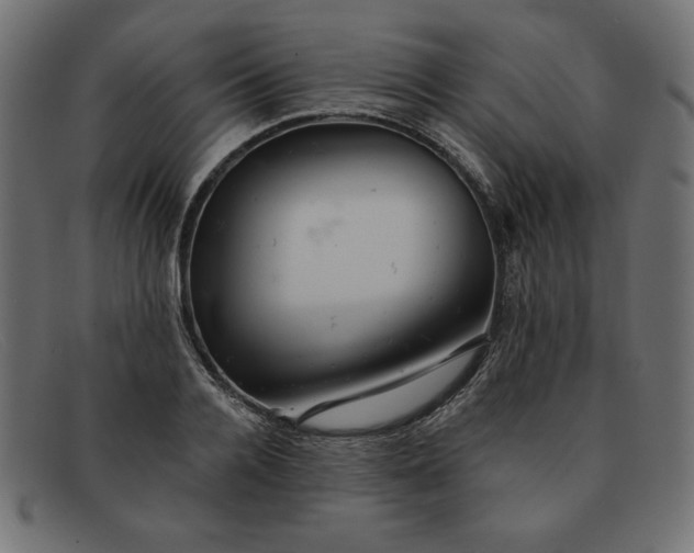 X0000091850936200709191053