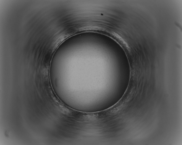 X0000091850937200709191053