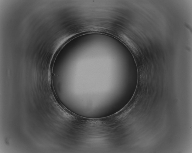X0000091850940200709191053