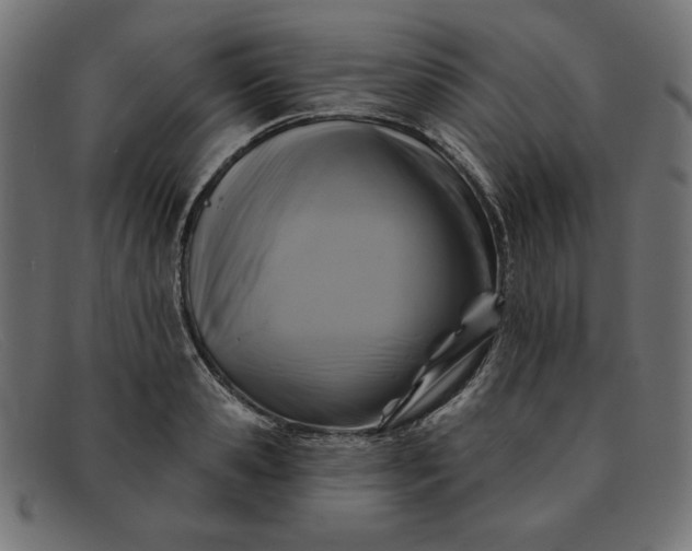X0000091850941200709191053