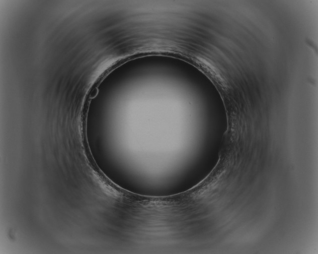 X0000091850942200709191053