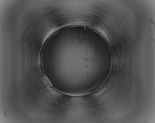 X0000091850944200709191053