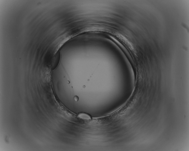 X0000091850945200709191053