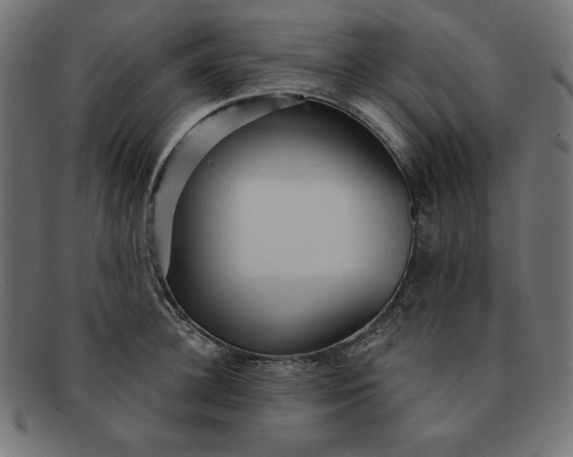 X0000091850948200709191053