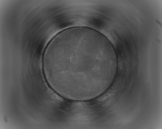 X0000091850950200709191053